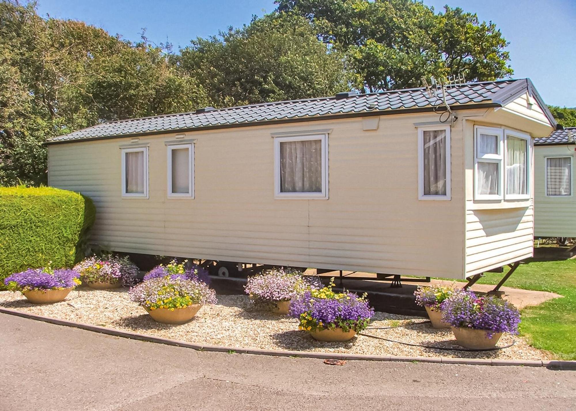 Seadown Park Hotell Charmouth Rum bild